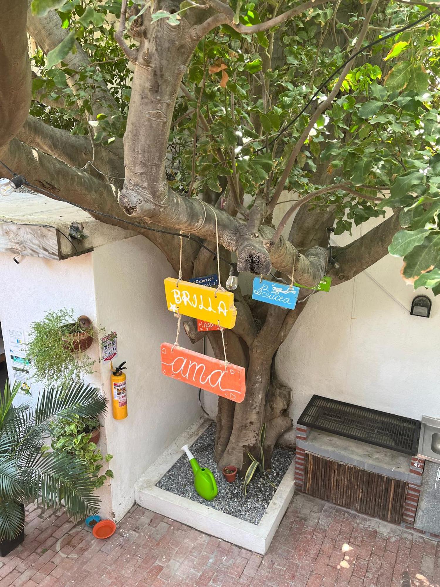 Ocean Lovers Hostel & Apartments 타강가 외부 사진