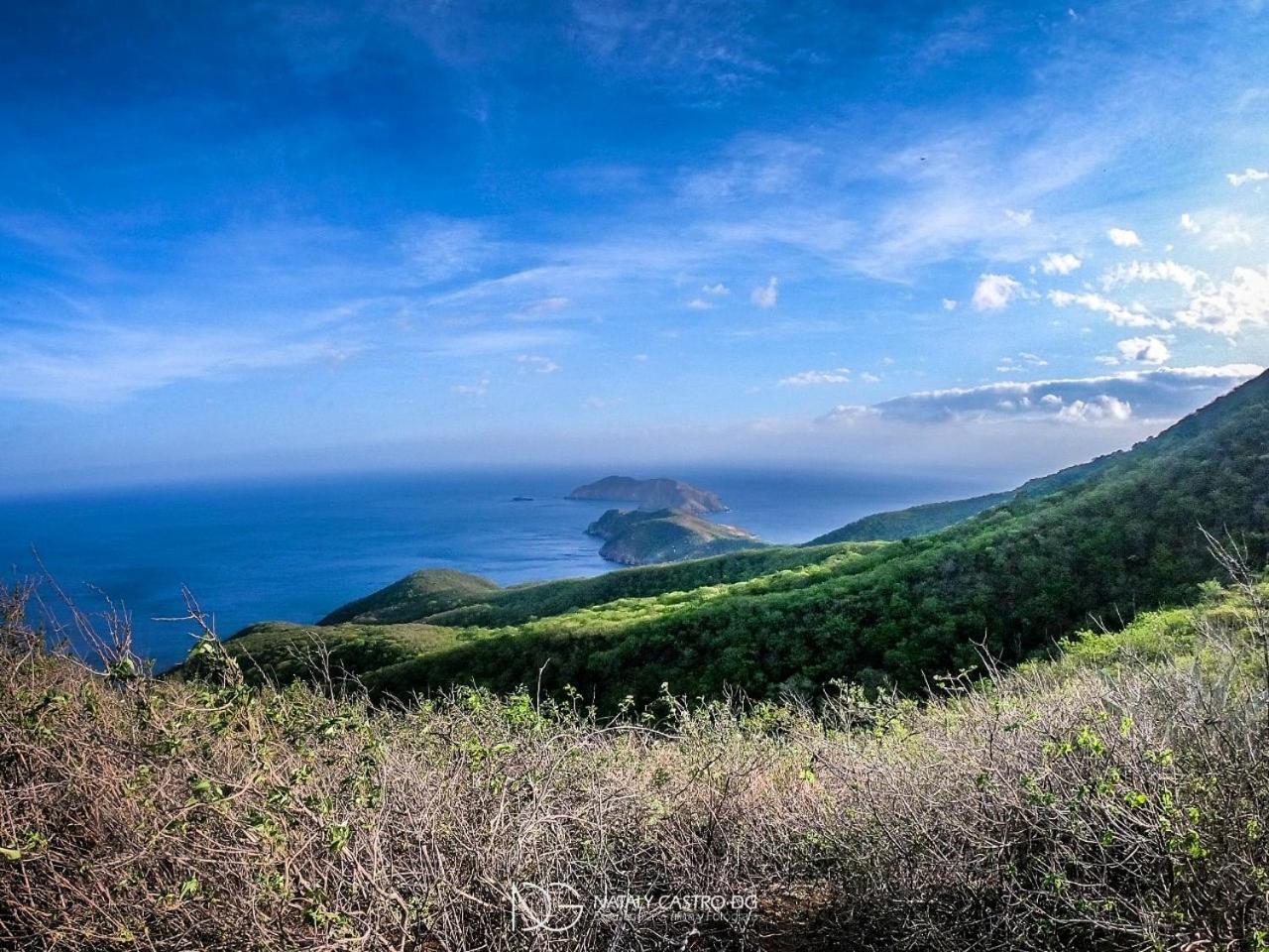 Ocean Lovers Hostel & Apartments 타강가 외부 사진